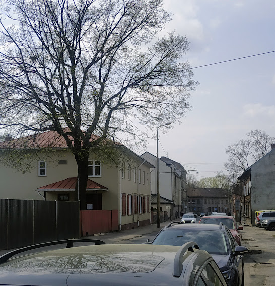 Figure_9_Mother_Teresa_Charity_house